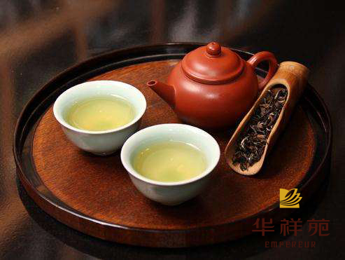 茶叶百科 
