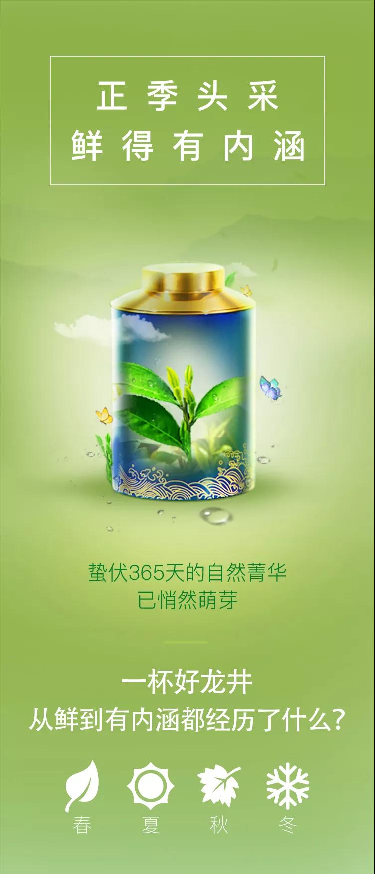 一杯好龙井，从鲜到有内涵都经历了什么？
