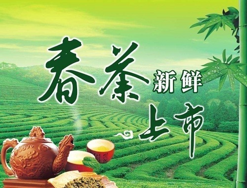 购买春茶的误区